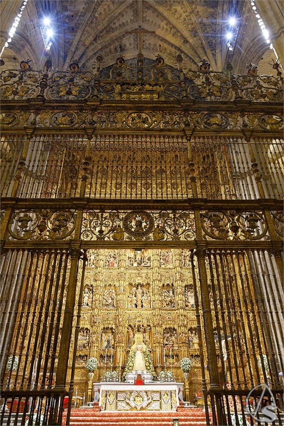 fjmontiel_TR_EX_Dogma_Asuncion_Triana_Catedral_2025_DSC_5614_DxO