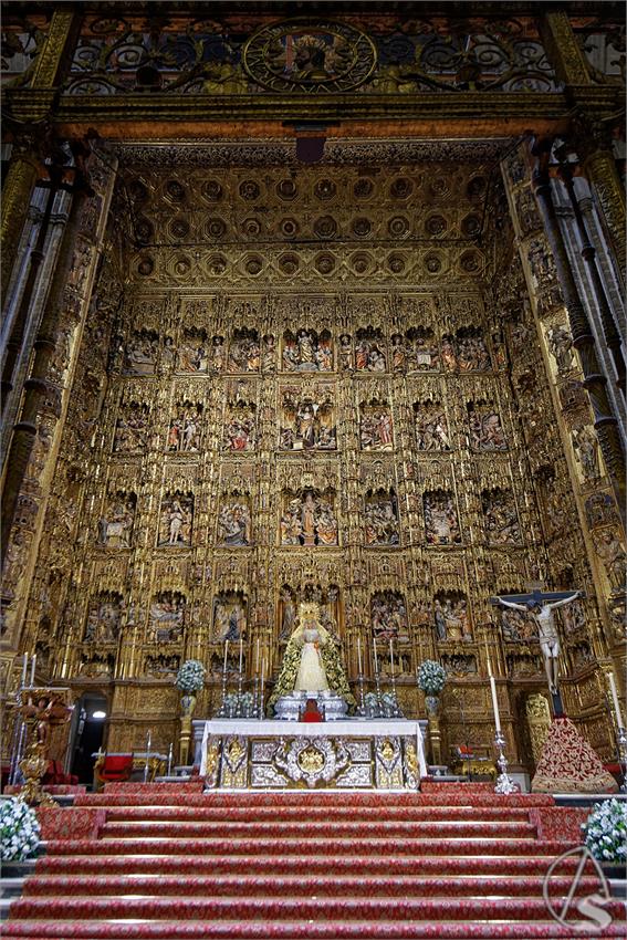 fjmontiel_TR_EX_Dogma_Asuncion_Triana_Catedral_2025_DSC_5616_DxO