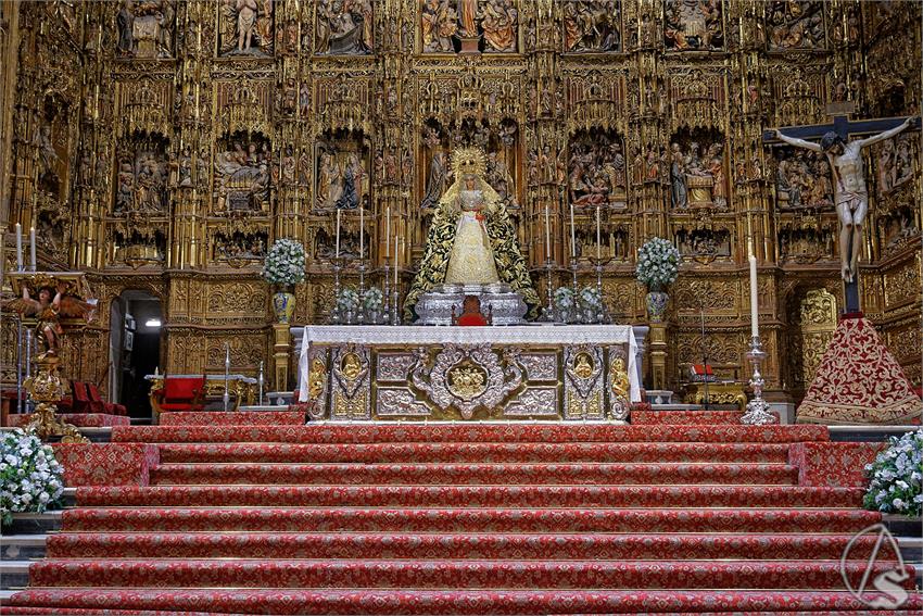 fjmontiel_TR_EX_Dogma_Asuncion_Triana_Catedral_2025_DSC_5619_DxO