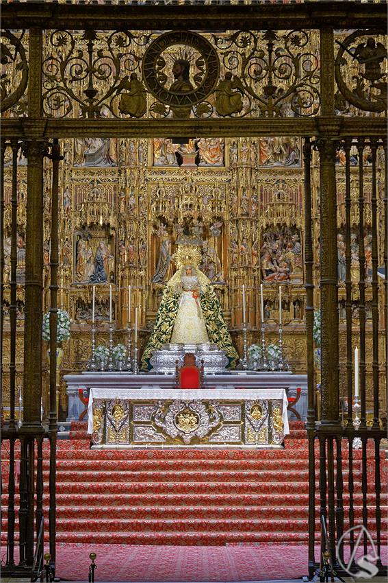 fjmontiel_TR_EX_Dogma_Asuncion_Triana_Catedral_2025_DSC_5629_DxO