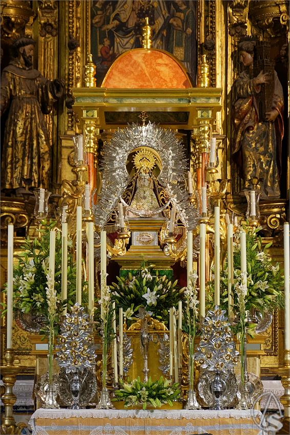 fjmontiel_TR_Guadalupe_Misericordia_2026_DSC_4523_DxO