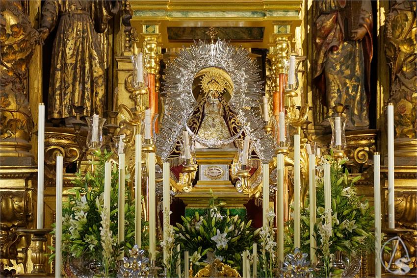 fjmontiel_TR_Guadalupe_Misericordia_2026_DSC_4526_DxO