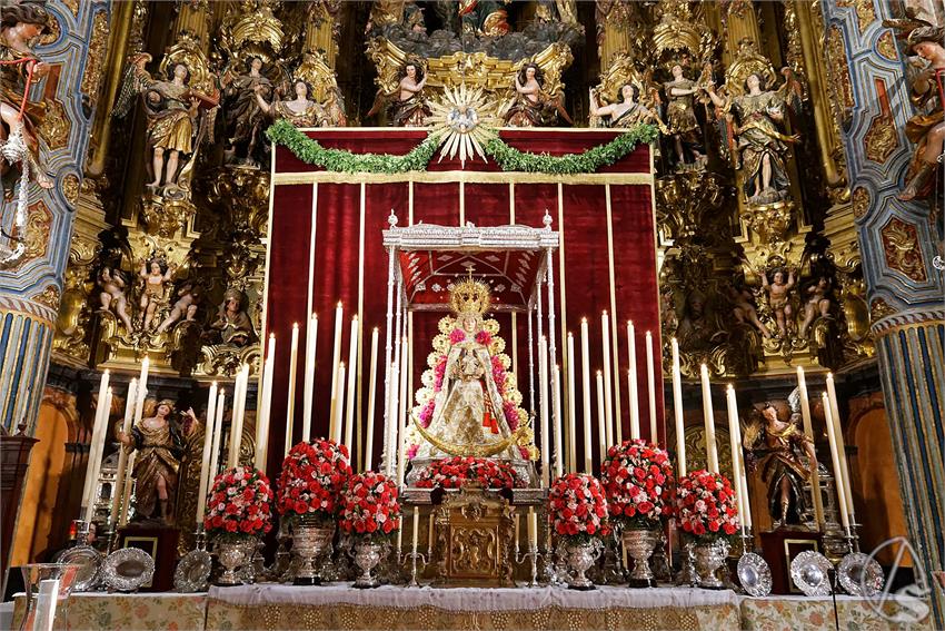 fjmontiel_TR_Navidad_Rocio_de_Sevilla_2024_DSC_9180_DxO