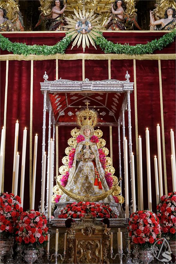 fjmontiel_TR_Navidad_Rocio_de_Sevilla_2024_DSC_9186_DxO
