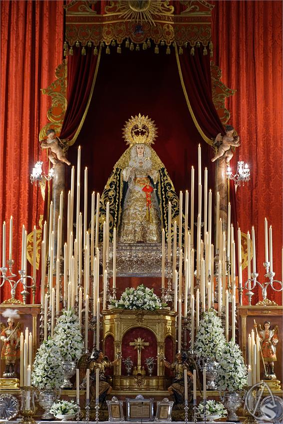 fjmontiel_TR_Palma_Buen_Fin_2026_DSC_4531_DxO