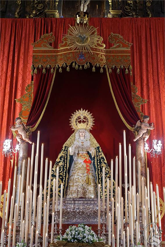 fjmontiel_TR_Palma_Buen_Fin_2026_DSC_4536_DxO