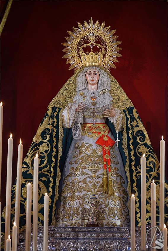 fjmontiel_TR_Palma_Buen_Fin_2026_DSC_4537_DxO
