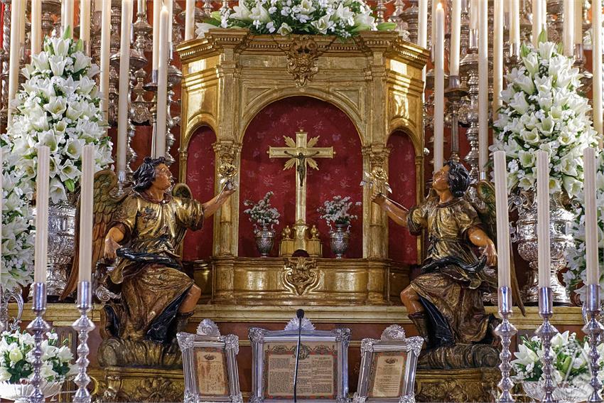 fjmontiel_TR_Palma_Buen_Fin_2026_DSC_4547_DxO