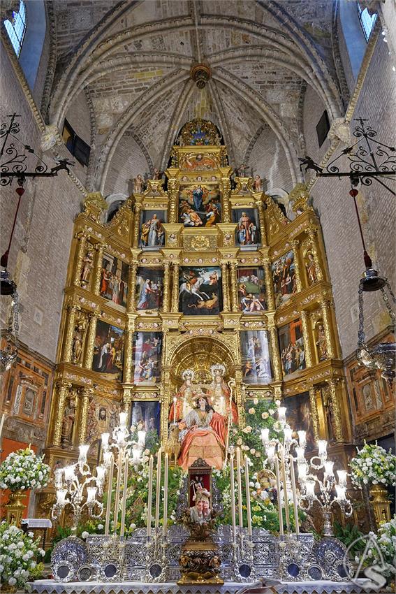 fjmontiel_TR_Pastora_de_Triana_2025_DSC_2834_DxO