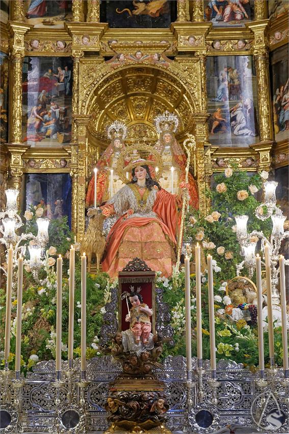 fjmontiel_TR_Pastora_de_Triana_2025_DSC_2835_DxO