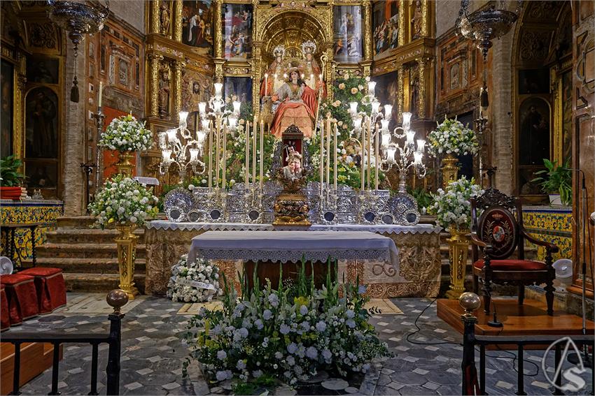fjmontiel_TR_Pastora_de_Triana_2025_DSC_2837_DxO