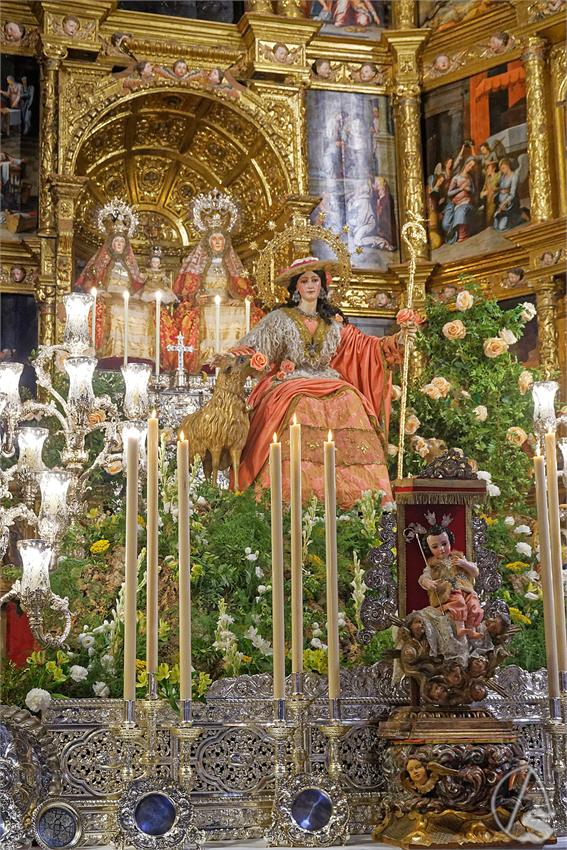 fjmontiel_TR_Pastora_de_Triana_2025_DSC_2839_DxO