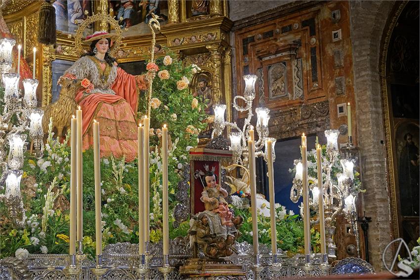 fjmontiel_TR_Pastora_de_Triana_2025_DSC_2841_DxO