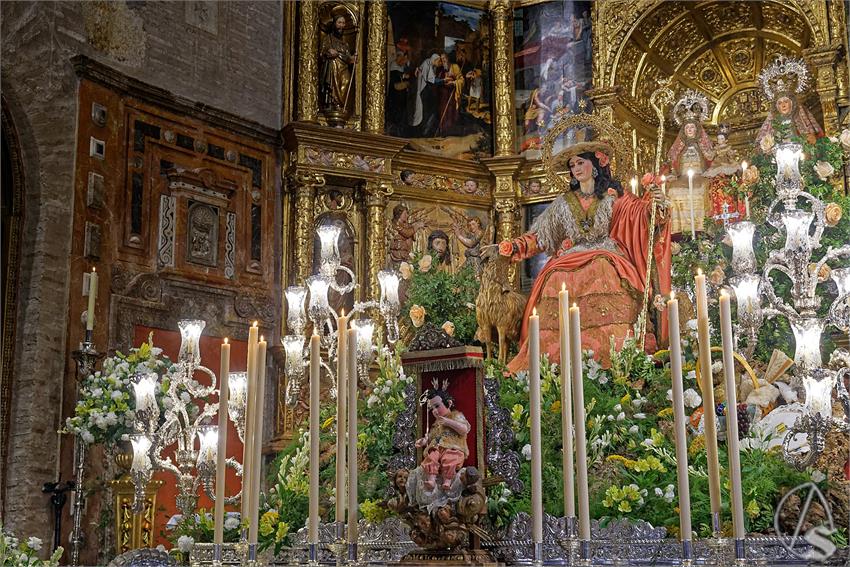 fjmontiel_TR_Pastora_de_Triana_2025_DSC_2842_DxO