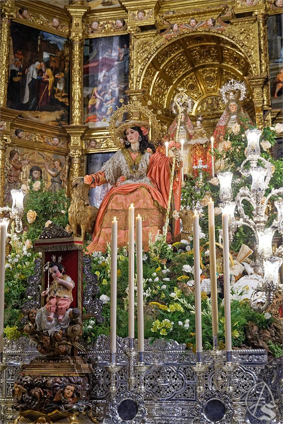 fjmontiel_TR_Pastora_de_Triana_2025_DSC_2844_DxO