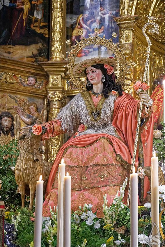 fjmontiel_TR_Pastora_de_Triana_2025_DSC_2845_DxO