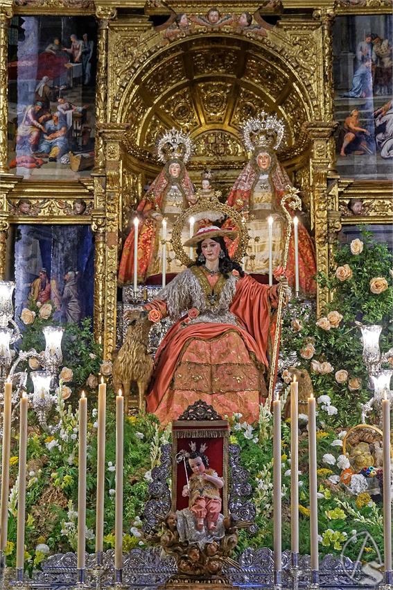 fjmontiel_TR_Pastora_de_Triana_2025_DSC_2847_DxO