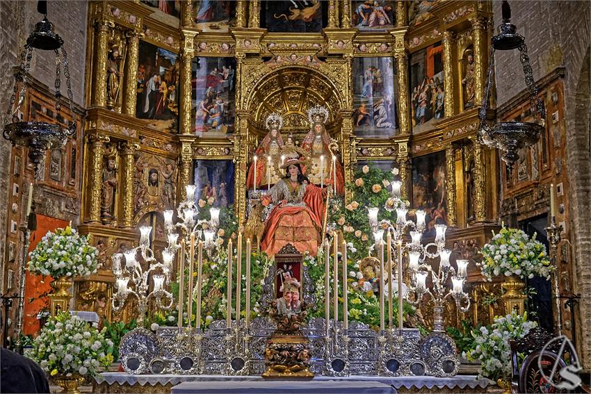fjmontiel_TR_Pastora_de_Triana_2025_DSC_2848_DxO