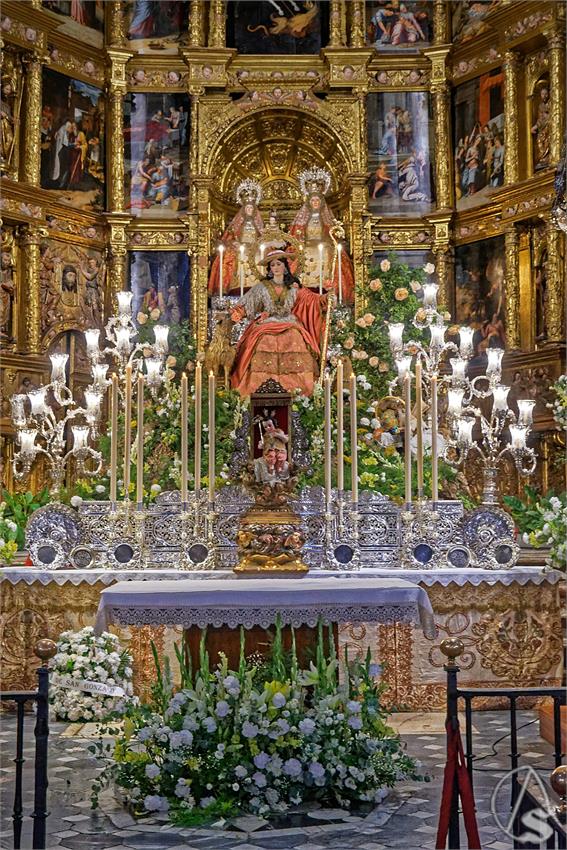 fjmontiel_TR_Pastora_de_Triana_2025_DSC_2849_DxO