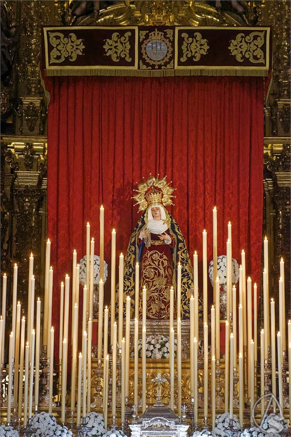 fjmontiel_TR_Presentacion_El_Calvario_2025_DSC_6904_DxO