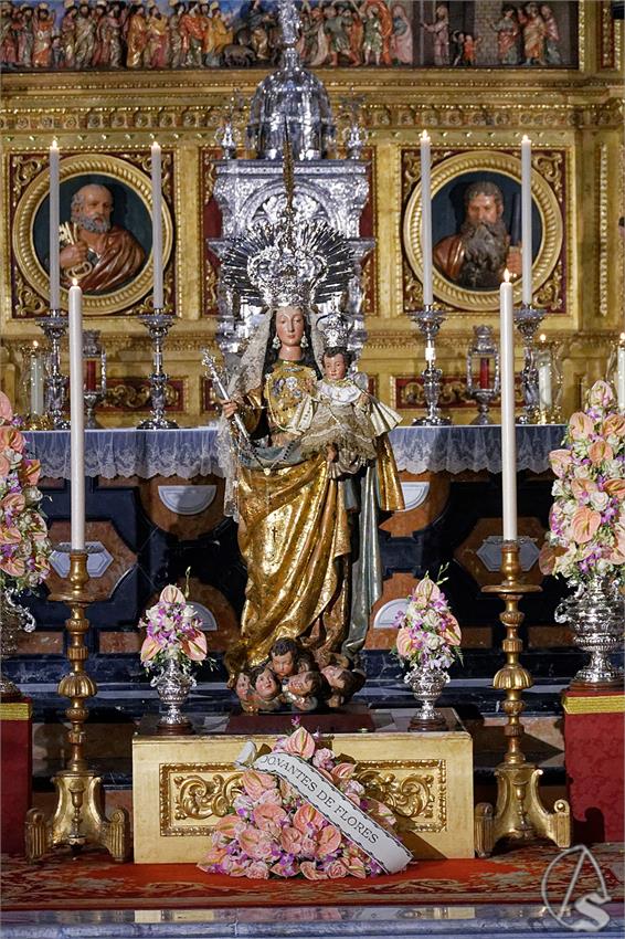 rosario corona