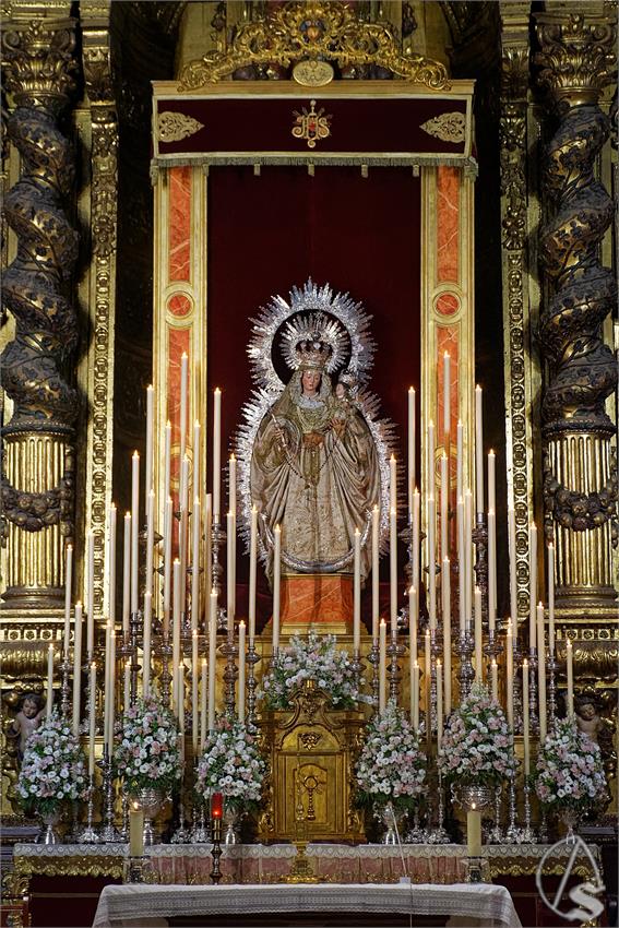 fjmontiel_TR_Rosario_Siete_Palabras_2026_DSC_3829_DxO