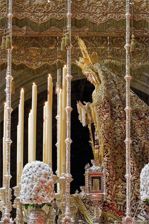 fjmontiel_TR_Socorro_Amor_2024_DSC_9163_DxO