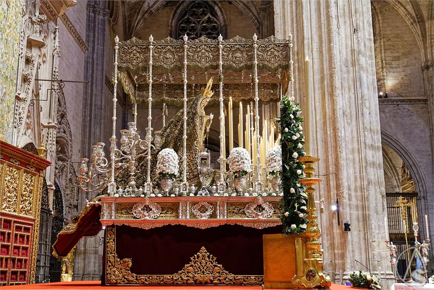 fjmontiel_TR_Socorro_Amor_2024_DSC_9166_DxO