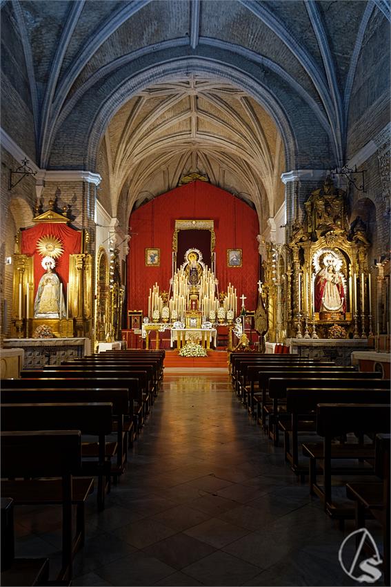 fjmontiel_TR_Sra_Buen_Fin_Lanzada_2026_DSC_0540_DxO