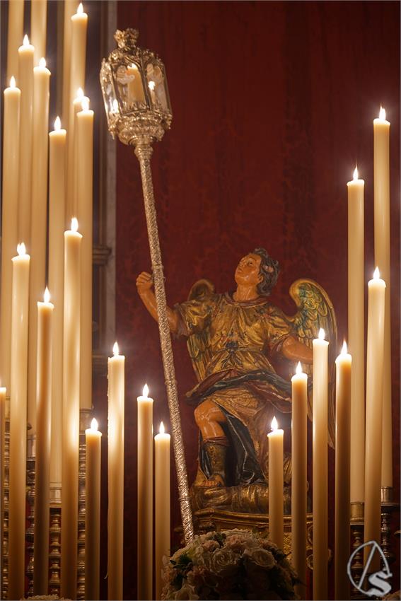 fjmontiel_TR_Sra_Buen_Fin_Lanzada_2026_DSC_0564_DxO