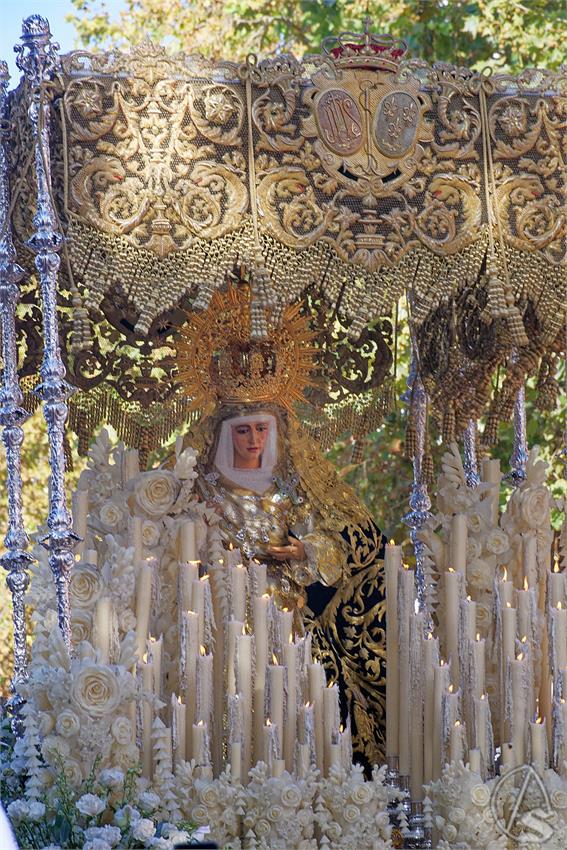fjmontiel_TR_Triana_a_la_Catedral_por_Baratillo_2025_DSC_5493_DxO