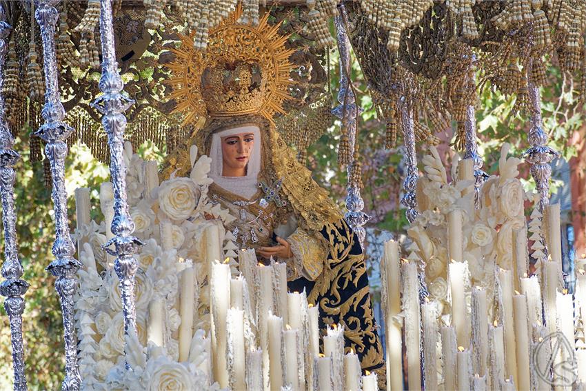 fjmontiel_TR_Triana_a_la_Catedral_por_Baratillo_2025_DSC_5497_DxO