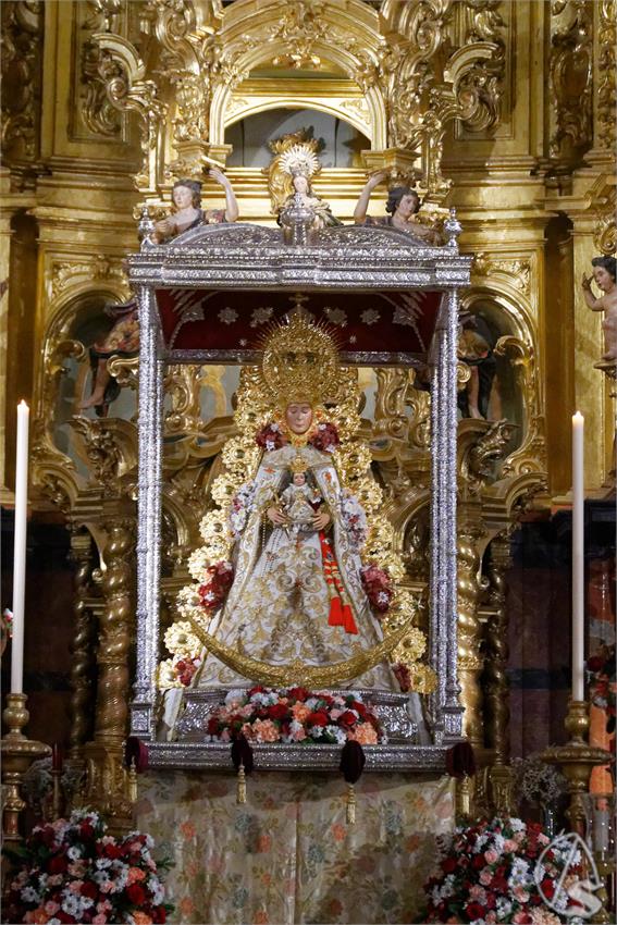 fjmontiel_TR_y_PR_Rocio_de_Sevilla_en_Navidad_2025_DSC_8789_DxO