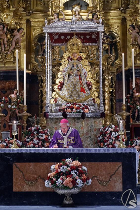 fjmontiel_TR_y_PR_Rocio_de_Sevilla_en_Navidad_2025_DSC_8846_DxO