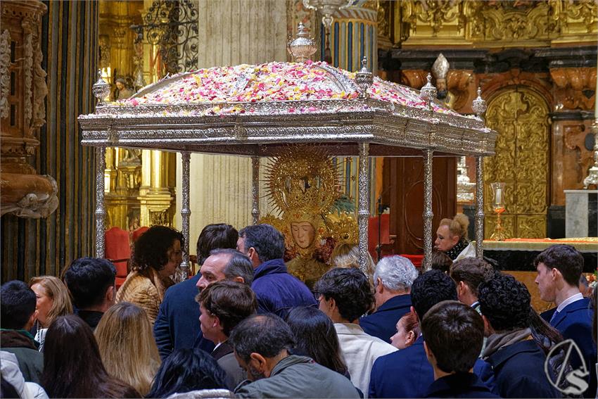 fjmontiel_TR_y_PR_Rocio_de_Sevilla_en_Navidad_2025_DSC_9061_DxO