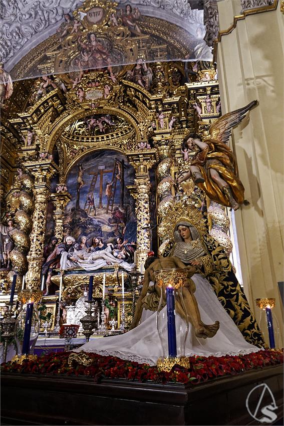 fjmontiel_Traslado_ida_Piedad_a_la_Caridad_2024_DSC_9092_DxO