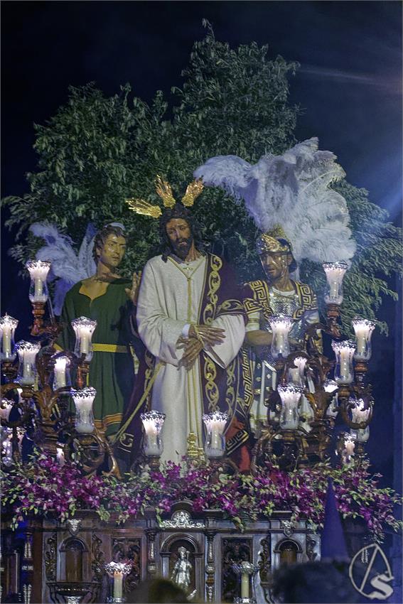 fjmontiel_VD_Pino_Montano_2026_DSC_6016_DxO