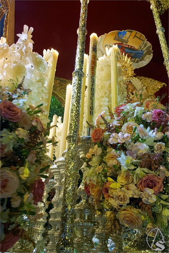 fjmontiel_VD_Pino_Montano_2026_DSC_6050_DxO