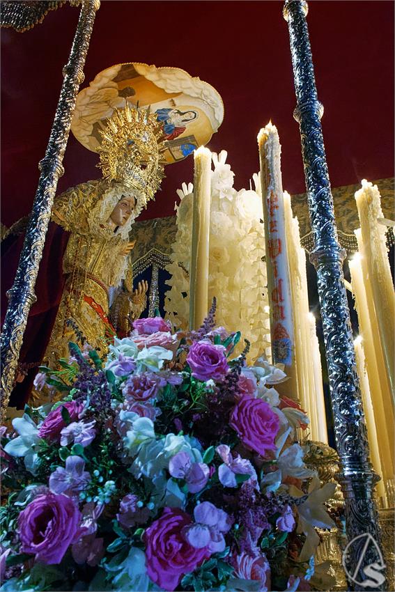 fjmontiel_VD_Pino_Montano_2026_DSC_6053_DxO