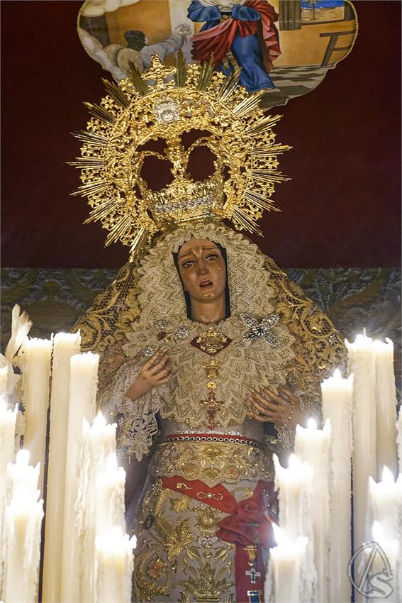 fjmontiel_VD_Pino_Montano_2026_DSC_6056_DxO