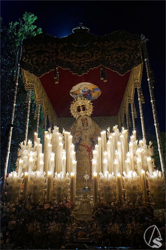 fjmontiel_VD_Pino_Montano_2026_DSC_6058_DxO