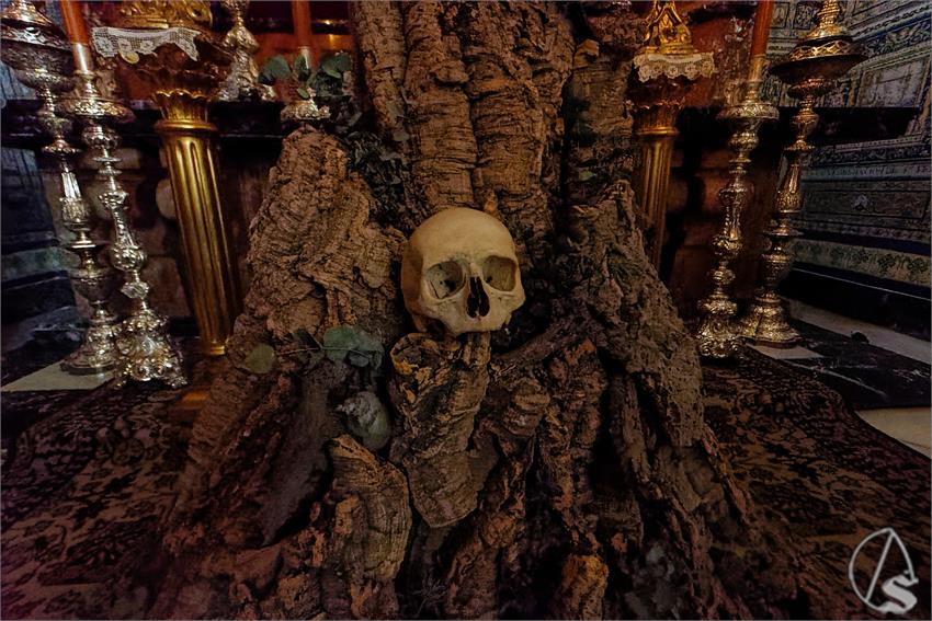 fjmontiel_VE_Desamparados_Santo_Angel_2026_DSC_3957_DxO