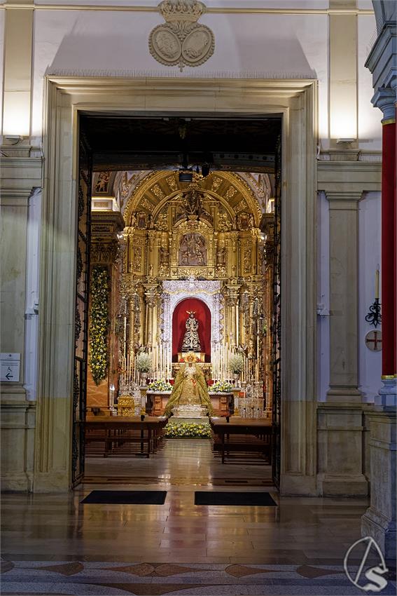 fjmontiel_VE_EX_Esperanza_Macarena_por_la_Rosa_de_Oro_Pontificia_2024_DSC_6479_DxO