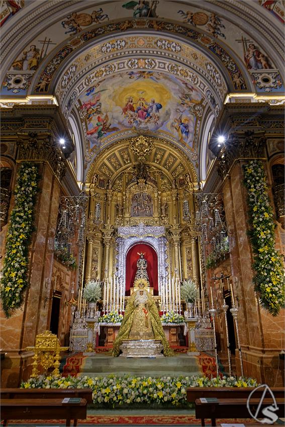 fjmontiel_VE_EX_Esperanza_Macarena_por_la_Rosa_de_Oro_Pontificia_2024_DSC_6481_DxO