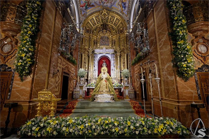 fjmontiel_VE_EX_Esperanza_Macarena_por_la_Rosa_de_Oro_Pontificia_2024_DSC_6482_DxO