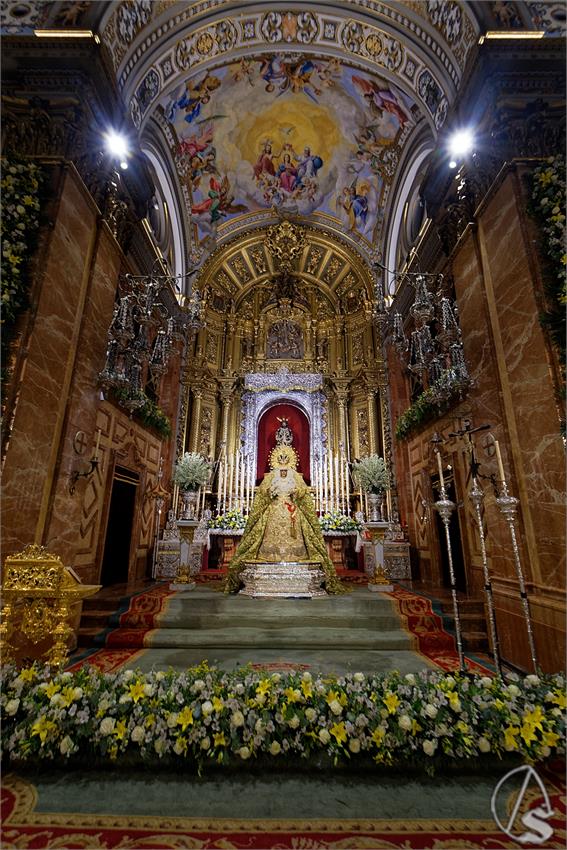 fjmontiel_VE_EX_Esperanza_Macarena_por_la_Rosa_de_Oro_Pontificia_2024_DSC_6483_DxO