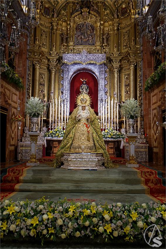 fjmontiel_VE_EX_Esperanza_Macarena_por_la_Rosa_de_Oro_Pontificia_2024_DSC_6484_DxO