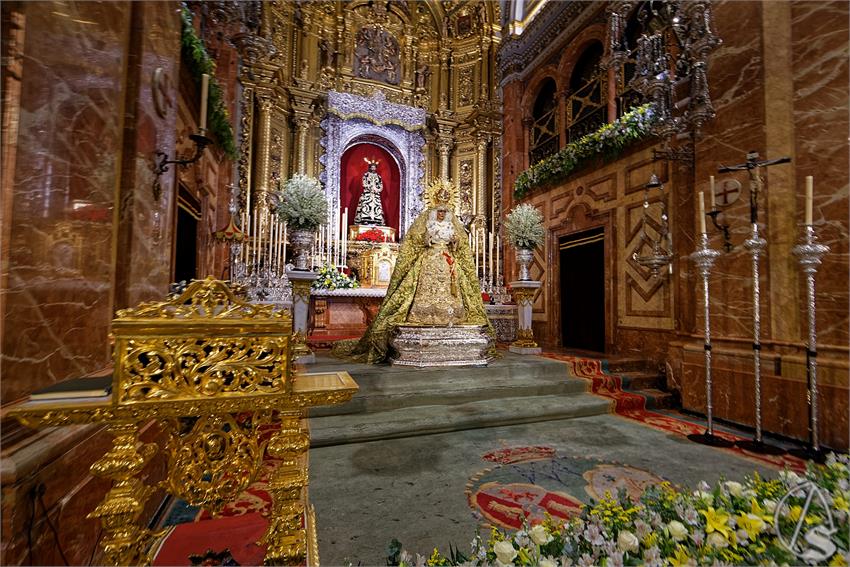 fjmontiel_VE_EX_Esperanza_Macarena_por_la_Rosa_de_Oro_Pontificia_2024_DSC_6486_DxO