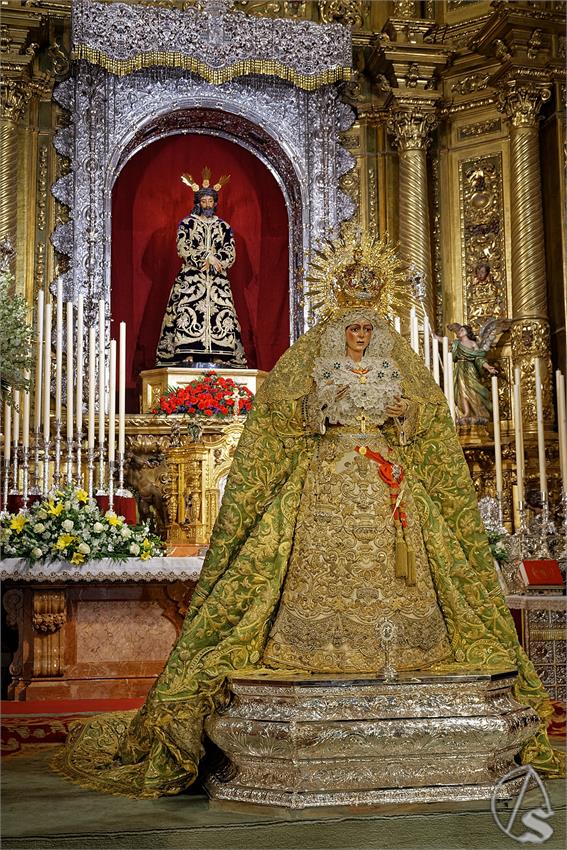fjmontiel_VE_EX_Esperanza_Macarena_por_la_Rosa_de_Oro_Pontificia_2024_DSC_6487_DxO