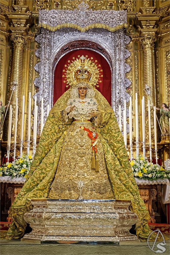 fjmontiel_VE_EX_Esperanza_Macarena_por_la_Rosa_de_Oro_Pontificia_2024_DSC_6490_DxO